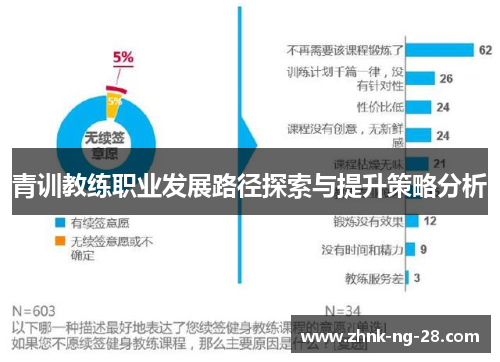 青训教练职业发展路径探索与提升策略分析 青训教练职业发展路径探索与提升策略分析