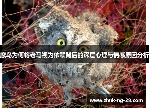 魔鸟为何将老马视为依赖背后的深层心理与情感原因分析 魔鸟为何将老马视为依赖背后的深层心理与情感原因分析