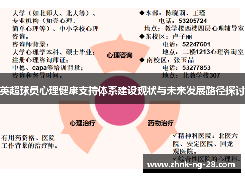 英超球员心理健康支持体系建设现状与未来发展路径探讨 英超球员心理健康支持体系建设现状与未来发展路径探讨
