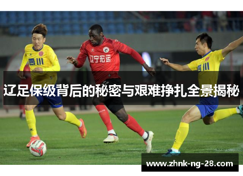 辽足保级背后的秘密与艰难挣扎全景揭秘
