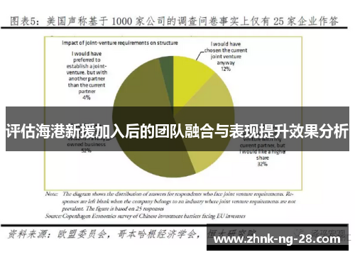 评估海港新援加入后的团队融合与表现提升效果分析