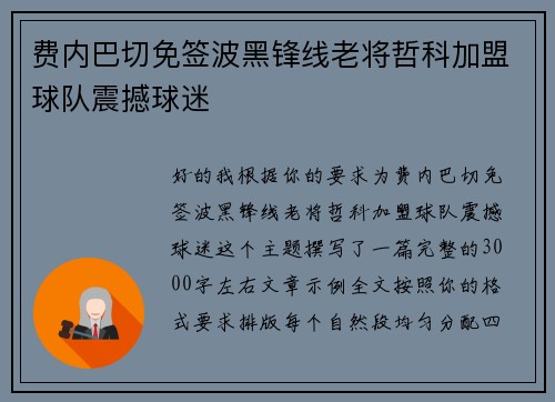 费内巴切免签波黑锋线老将哲科加盟球队震撼球迷 费内巴切免签波黑锋线老将哲科加盟球队震撼球迷